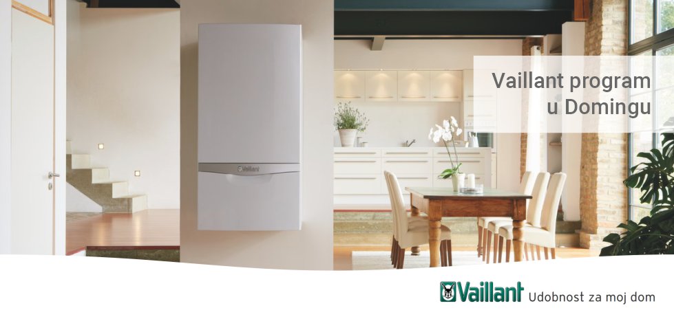 vaillant program